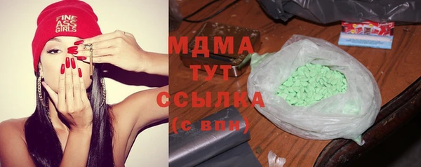 сатива Сатка
