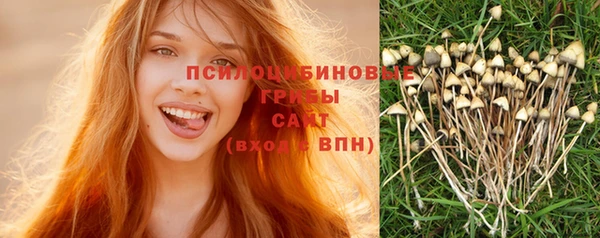 эйфоретик Арсеньев