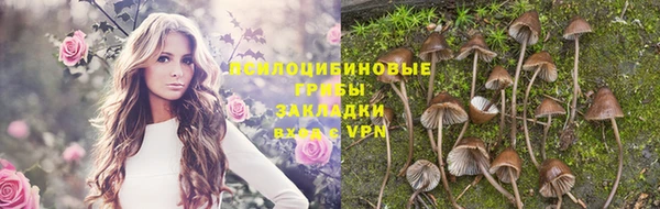 эйфоретик Арсеньев