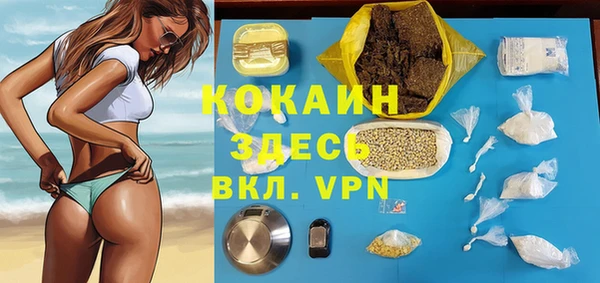 эйфоретик Арсеньев