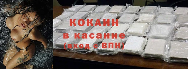 эйфоретик Арсеньев
