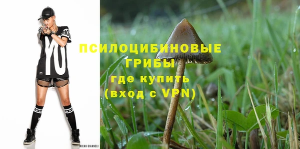 эйфоретик Арсеньев