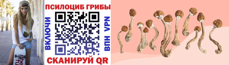 нарко площадка формула Верхнеуральск Галлюциногенные грибы Psilocybine cubensis купить наркоту